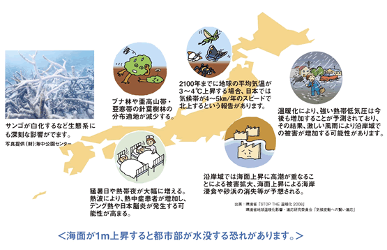 地球温暖化の影響予測 日本 Jccca 全国地球温暖化防止活動推進センター 地球温暖化の影響予測 日本 Jccca 全国地球温暖化防止活動推進センター