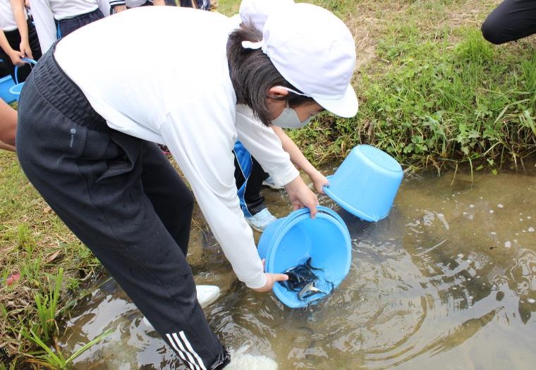 5月、稚鮎の放流「大きく育って!」