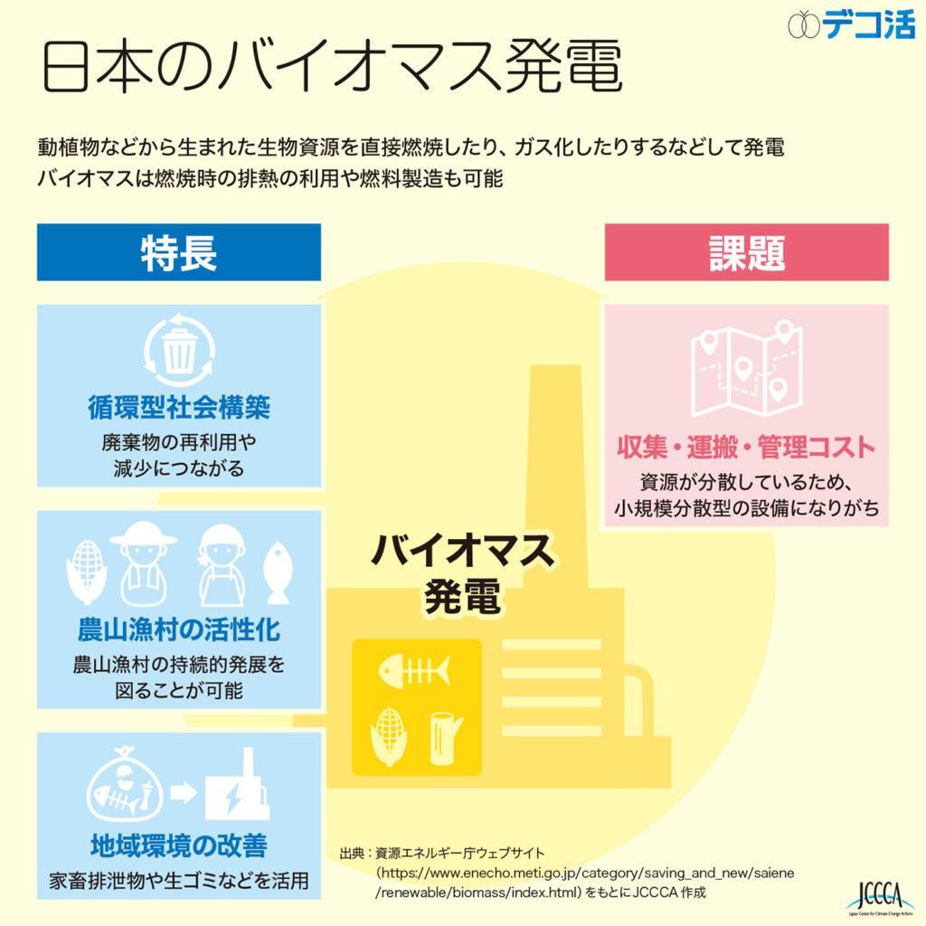 7-07 日本のバイオマス発電