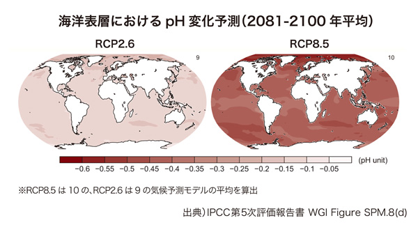 海洋表層におけるpH変化予測（2081-2100年平均）